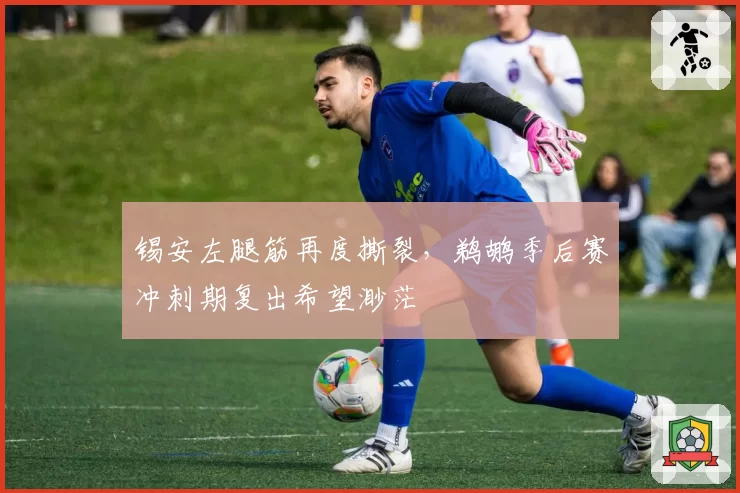 锡安左腿筋再度撕裂,鹈鹕季后赛冲刺期复出希望渺茫
