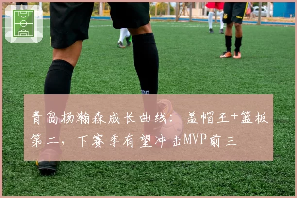 青岛杨瀚森成长曲线:盖帽王+篮板第二,下赛季有望冲击MVP前三