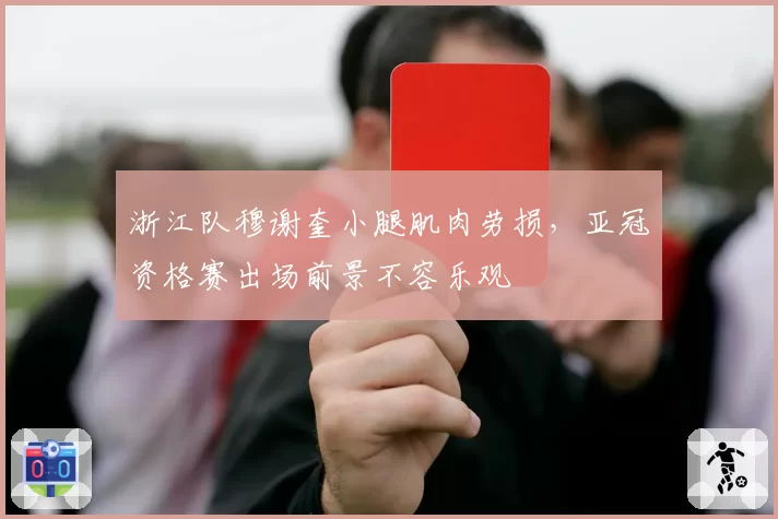 浙江队穆谢奎小腿肌肉劳损，亚冠资格赛出场前景不容乐观