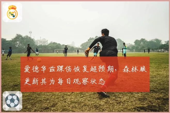 爱德华兹踝伤恢复超预期,森林狼更新其为每日观察状态