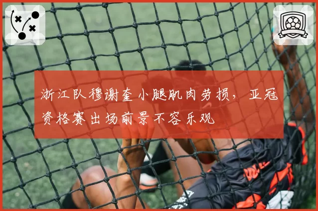 浙江队穆谢奎小腿肌肉劳损，亚冠资格赛出场前景不容乐观
